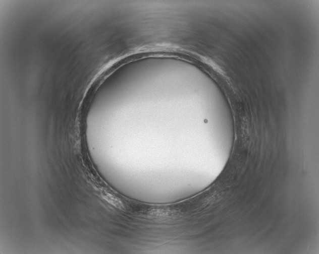 X0000060781364200512011627