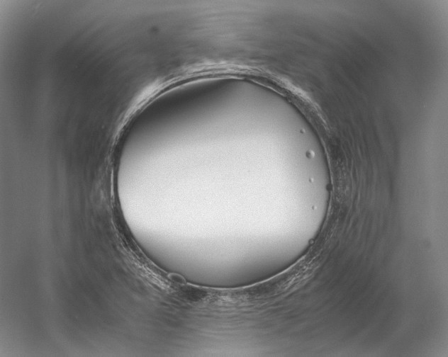 X0000060781365200512011627