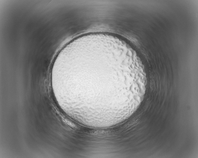 X0000060781366200512011627