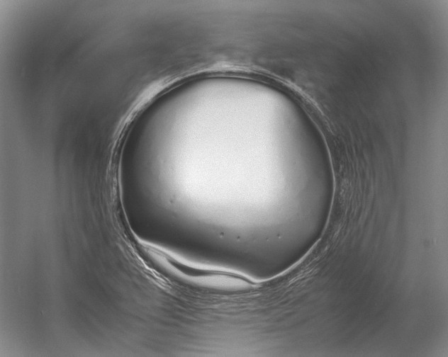 X0000060781367200512011627