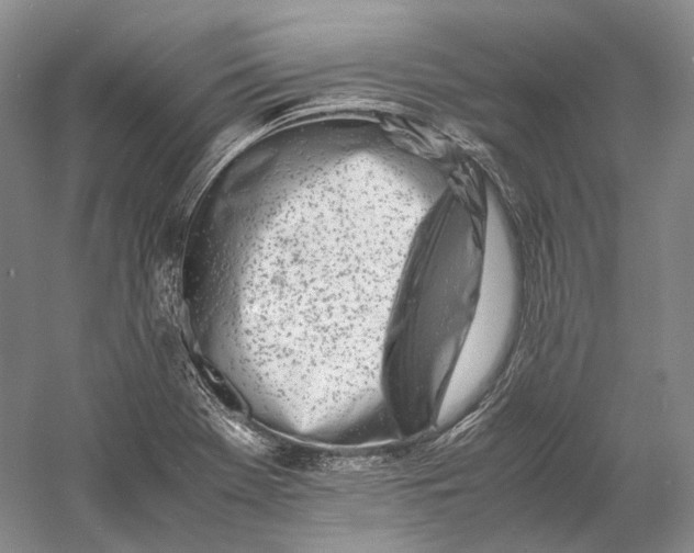 X0000060781369200512011627