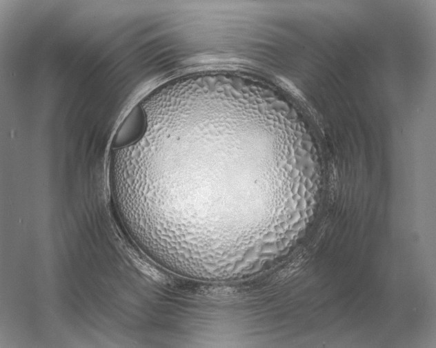 X0000060781370200512011627