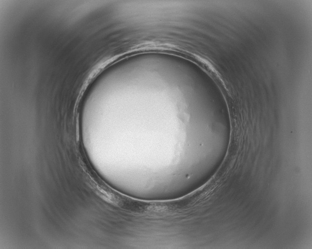 X0000060781371200512011627