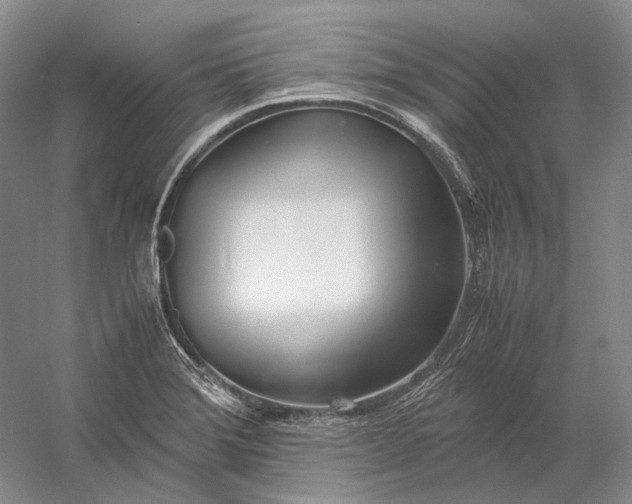 X0000060781372200512011627