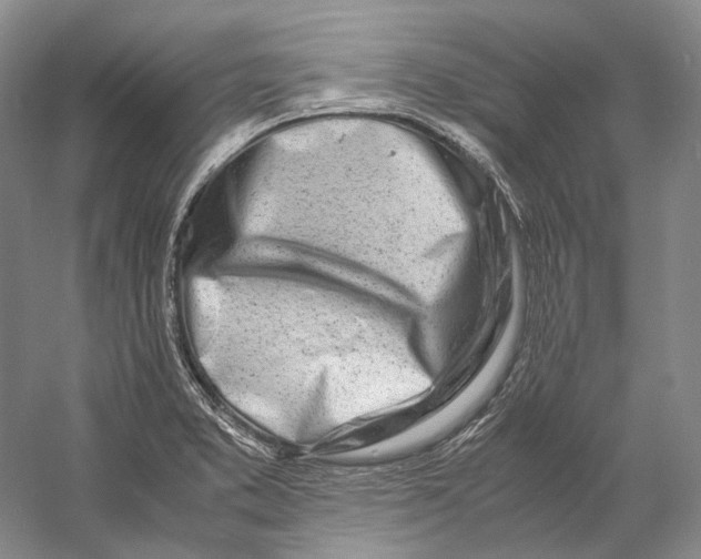 X0000060781373200512011627