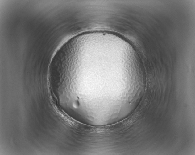 X0000060781374200512011627