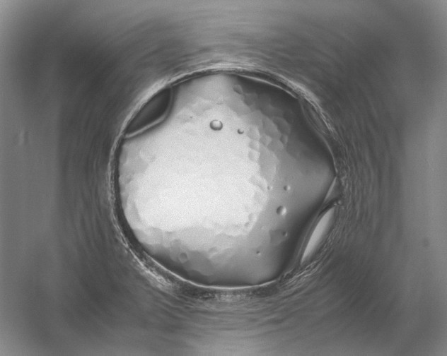 X0000060781375200512011627