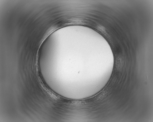 X0000060781378200512011627