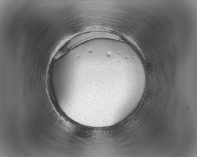 X0000060781379200512011627