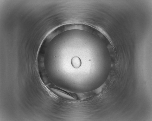 X0000060781380200512011627