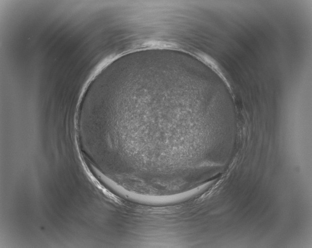 X0000060781381200512011627