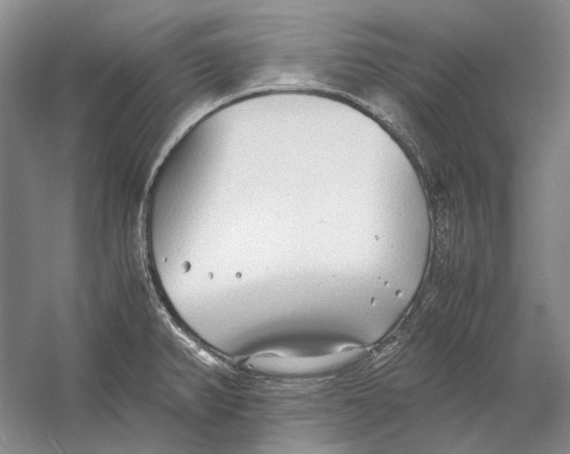 X0000060781382200512011627