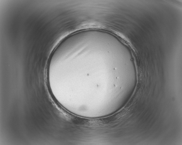 X0000060781383200512011627