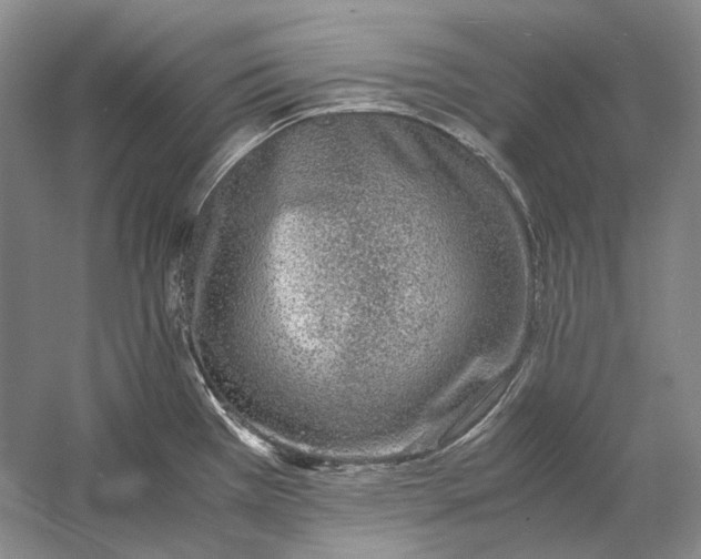 X0000060781385200512011627