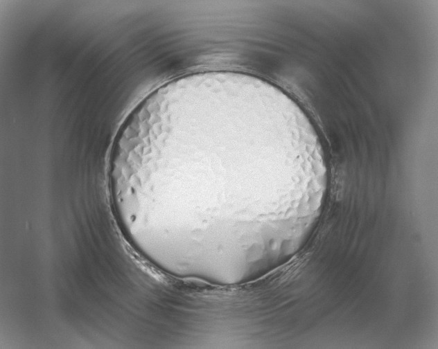 X0000060781386200512011627