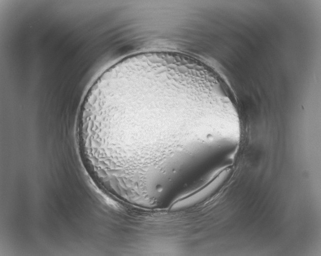 X0000060781387200512011627