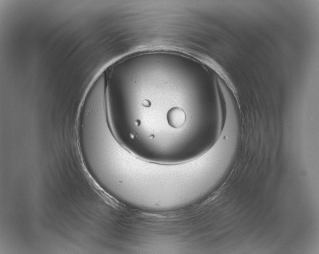 X0000060781388200512011627