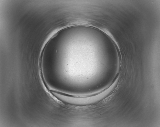 X0000060781389200512011627