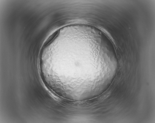 X0000060781391200512011627