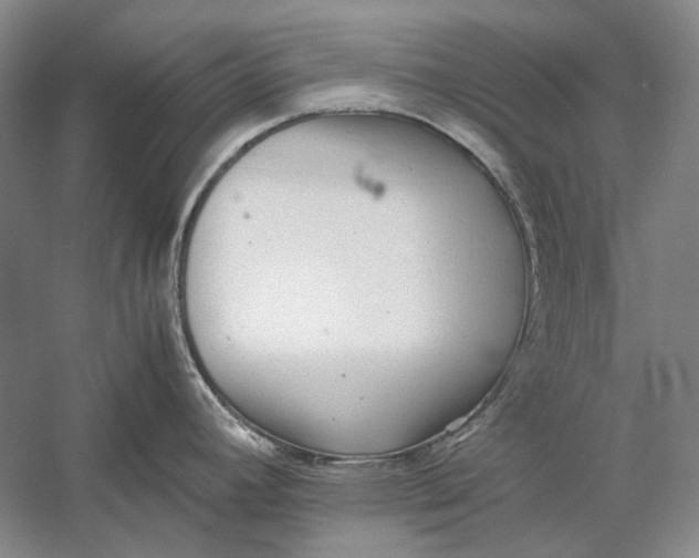 X0000060781392200512011627