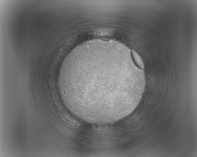 X0000060781393200512011626