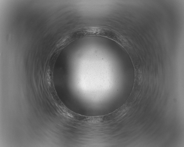 X0000060781394200512011626