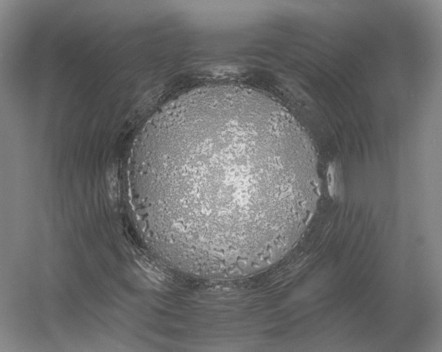 X0000060781395200512011626