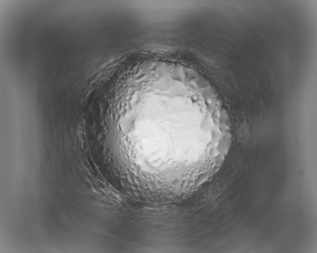 X0000060781397200512011626