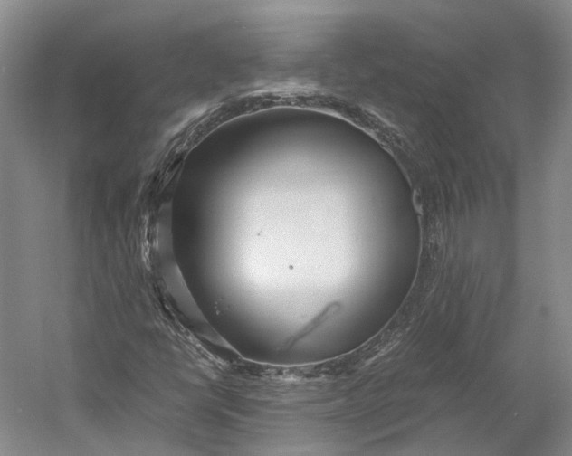 X0000060781398200512011626