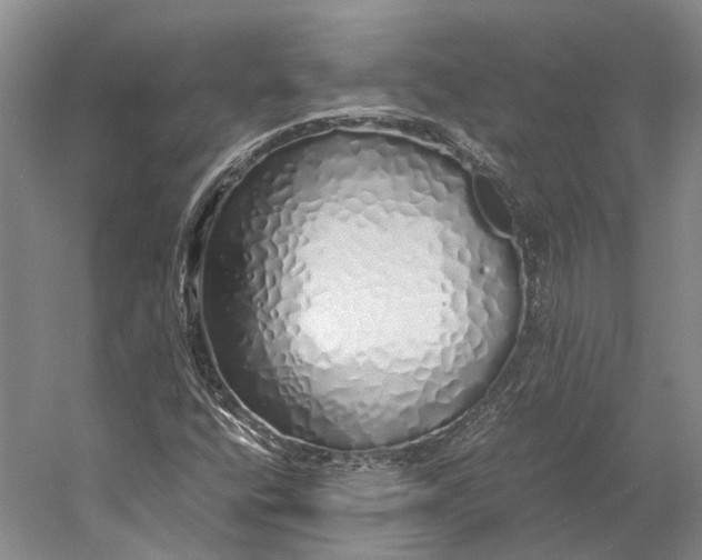 X0000060781400200512011626