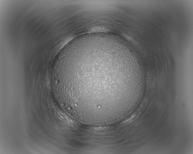 X0000060781401200512011626