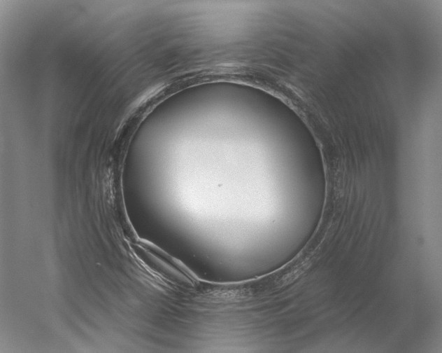 X0000060781402200512011626