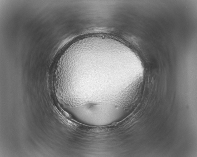 X0000060781404200512011626