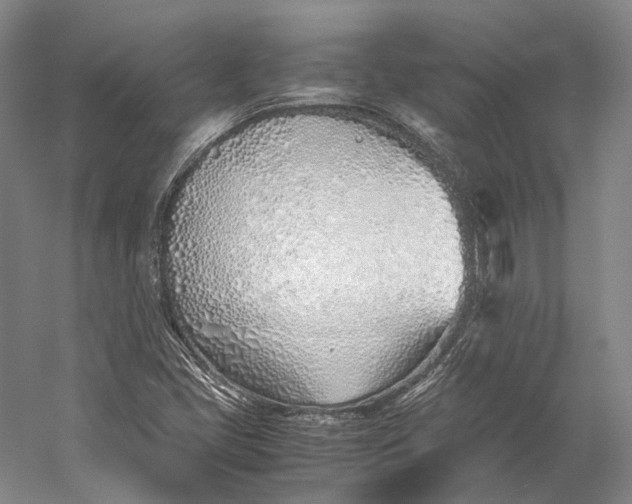 X0000060781405200512011626