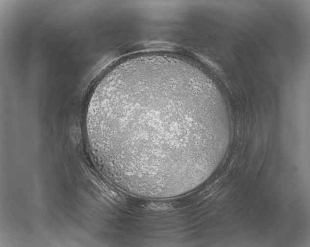 X0000060781407200512011626