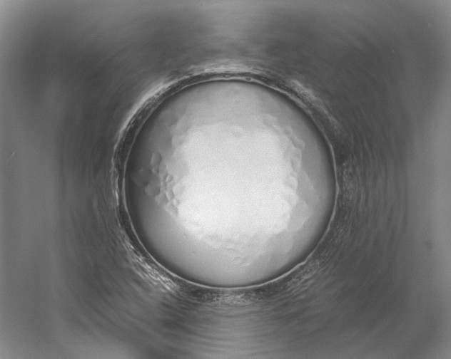 X0000060781408200512011626