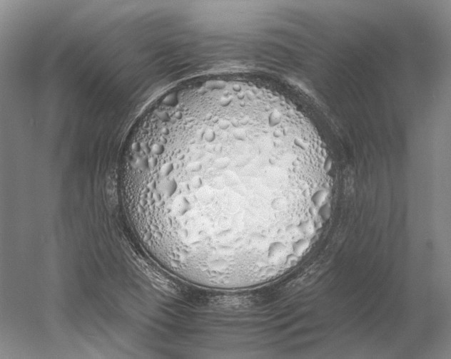 X0000060781409200512011626