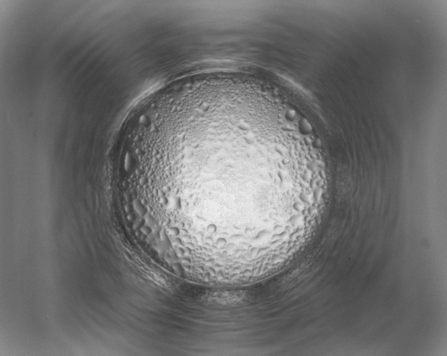 X0000060781411200512011626