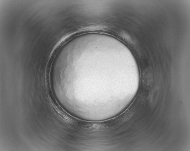 X0000060781412200512011626