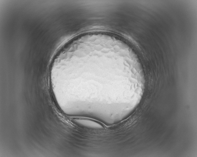 X0000060781413200512011626