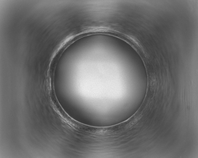 X0000060781414200512011626