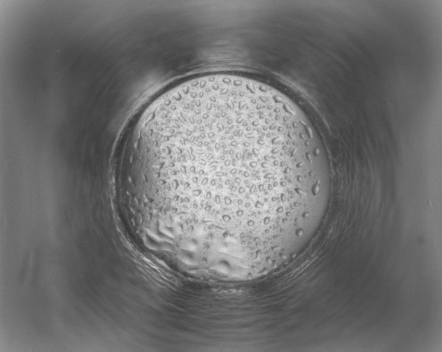 X0000060781415200512011626