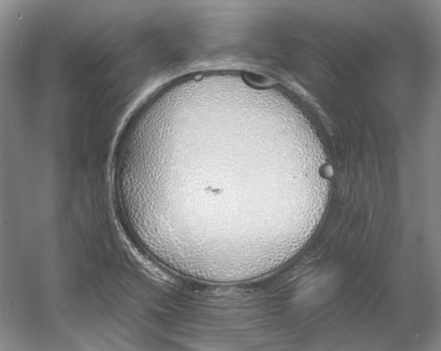 X0000060781416200512011626