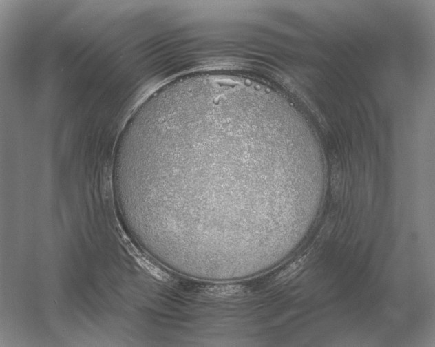 X0000060781417200512011626