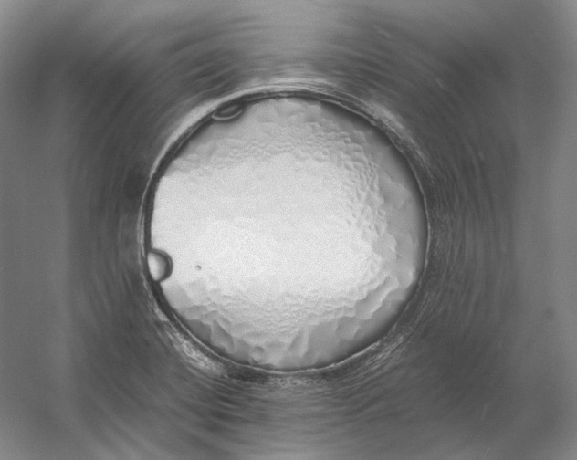 X0000060781420200512011626