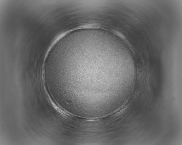 X0000060781421200512011626