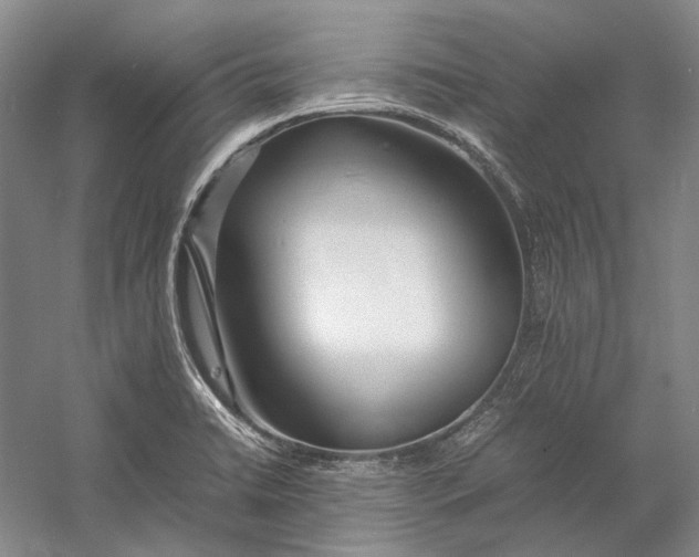 X0000060781422200512011626