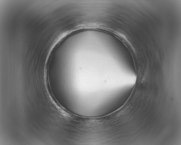 X0000060781424200512011626