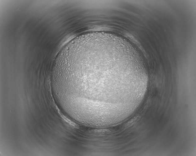 X0000060781425200512011626