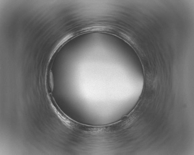 X0000060781426200512011627